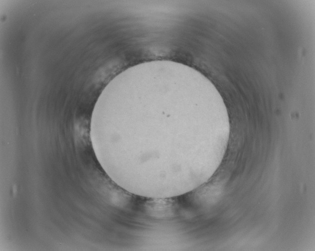 X0000072990672200608041310