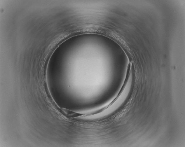 X0000072990673200608041309