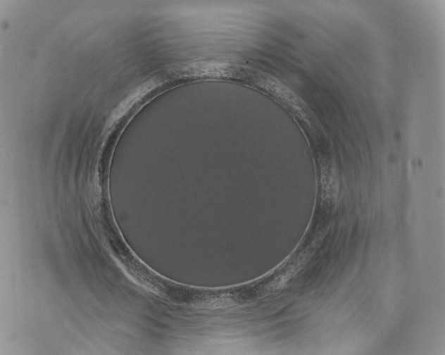 X0000072990674200608041309