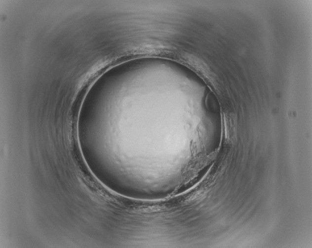 X0000072990675200608041309