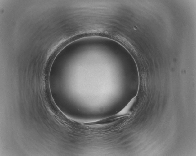 X0000072990676200608041309