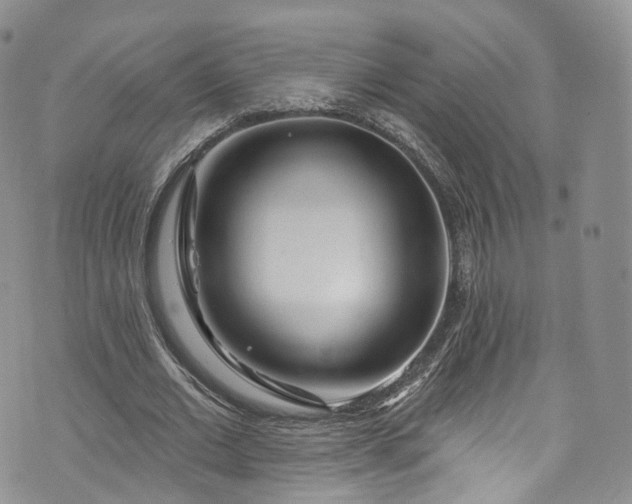 X0000072990677200608041309