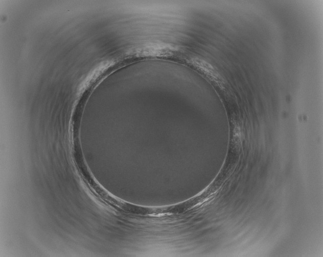 X0000072990678200608041309