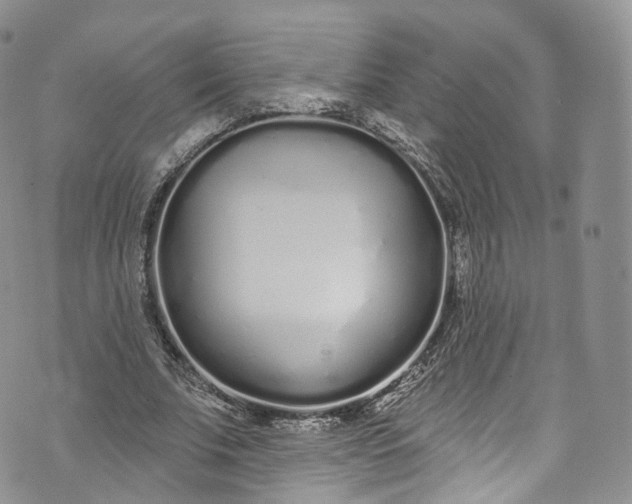 X0000072990679200608041309