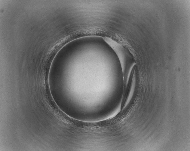 X0000072990681200608041309