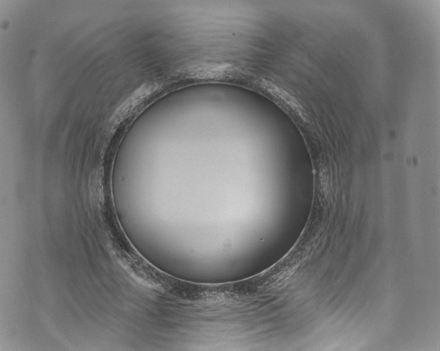 X0000072990682200608041309