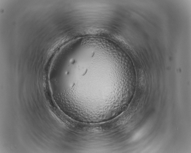 X0000072990683200608041309