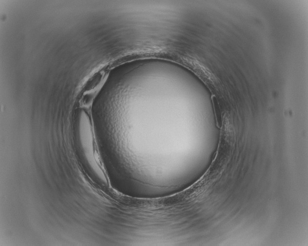 X0000072990684200608041309