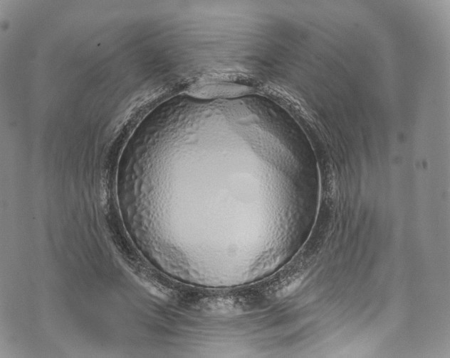 X0000072990687200608041309