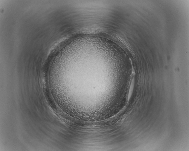 X0000072990688200608041309