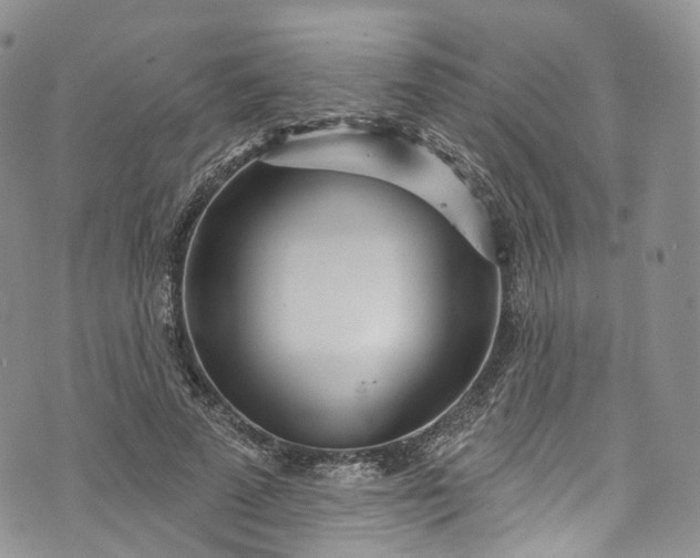 X0000072990689200608041308