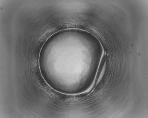 X0000072990691200608041308