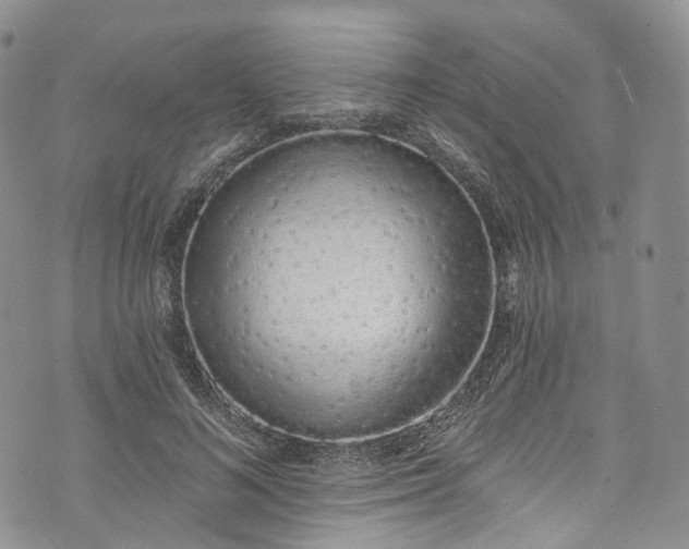 X0000072990692200608041308