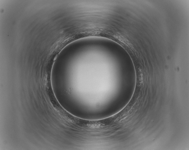 X0000072990693200608041308