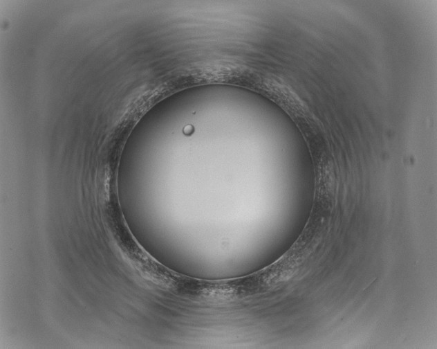 X0000072990694200608041308