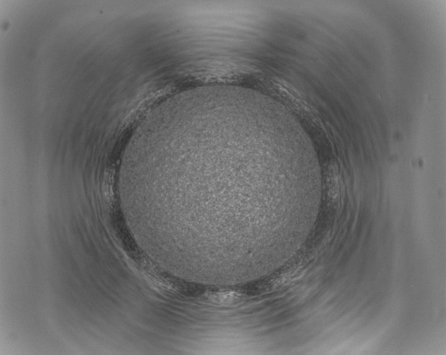 X0000072990695200608041308