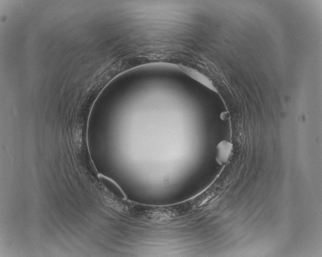 X0000072990697200608041308