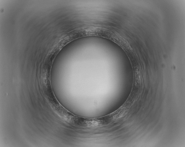 X0000072990698200608041308