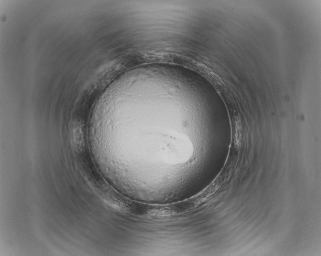 X0000072990699200608041308