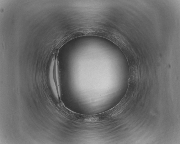 X0000072990700200608041308