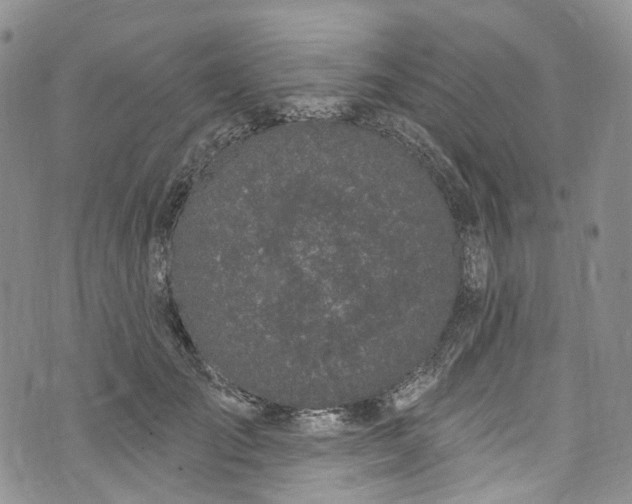 X0000072990701200608041308