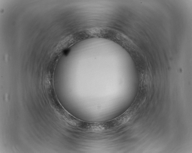 X0000072990702200608041308