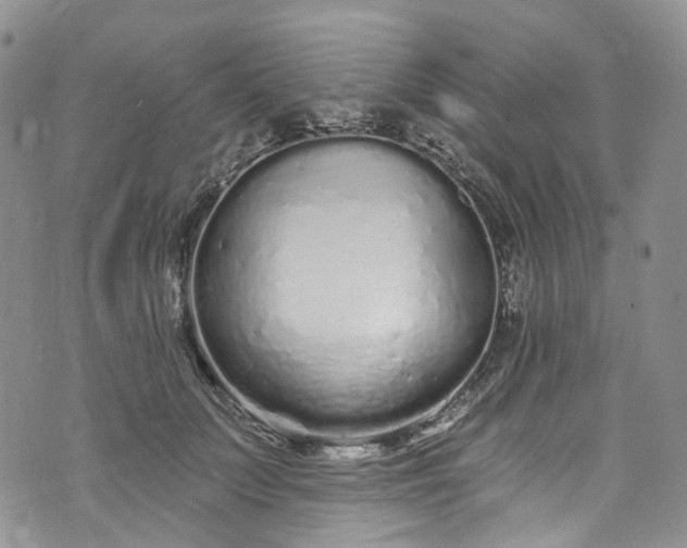 X0000072990703200608041308