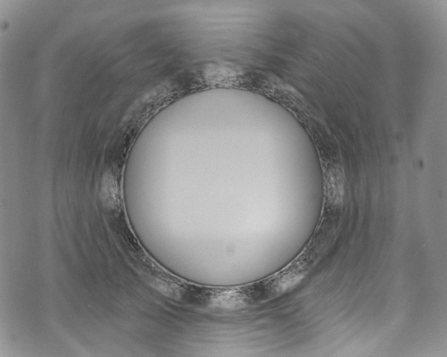 X0000072990705200608041308