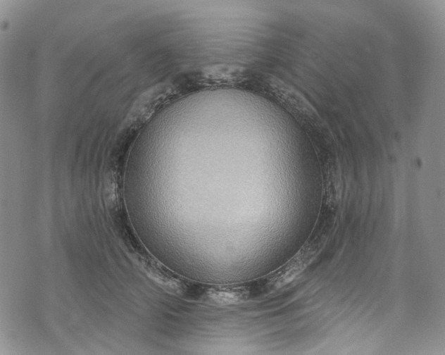 X0000072990706200608041308