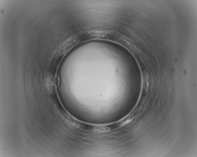 X0000072990707200608041308