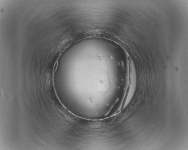 X0000072990708200608041308