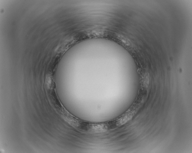 X0000072990709200608041308