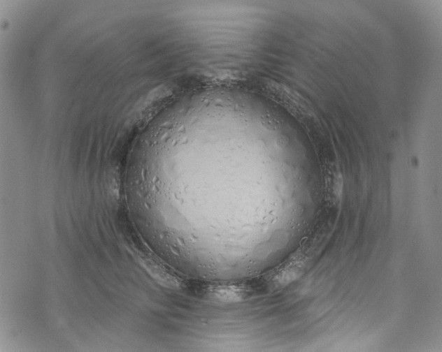 X0000072990710200608041308