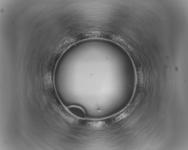 X0000072990711200608041308