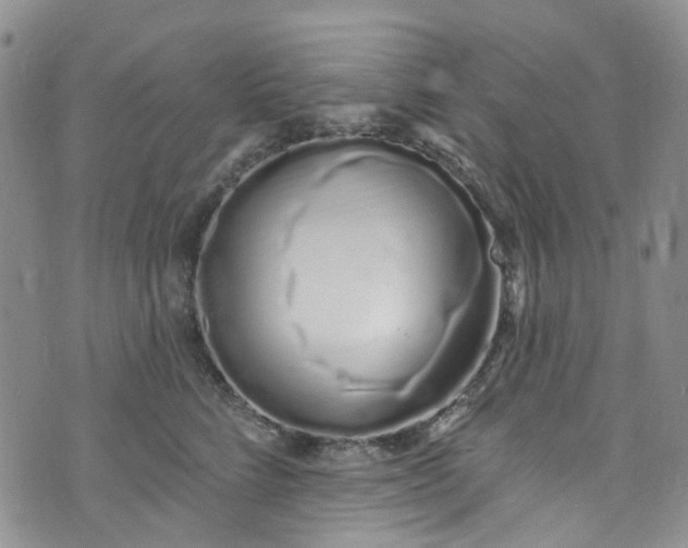 X0000072990712200608041308