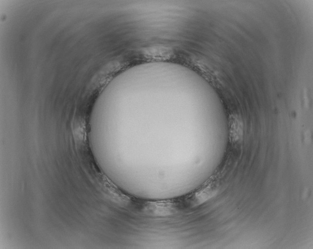 X0000072990713200608041308