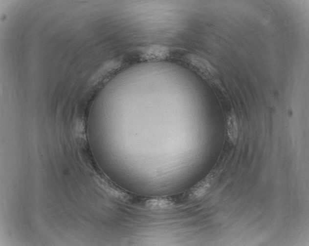 X0000072990714200608041308