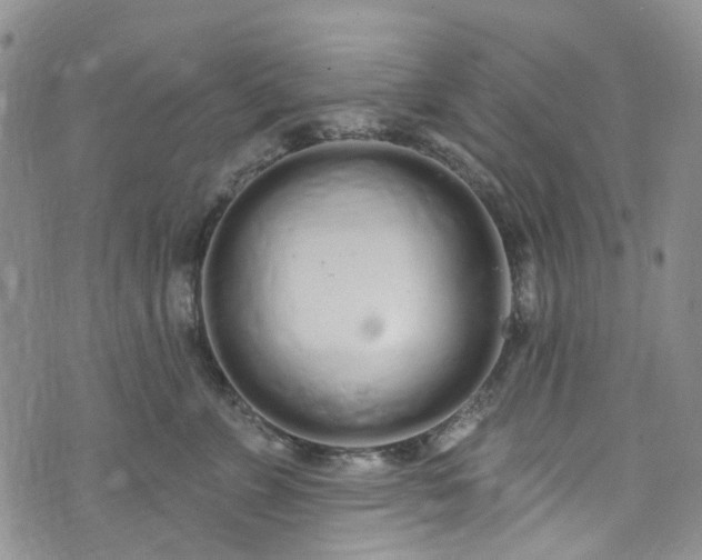 X0000072990715200608041308