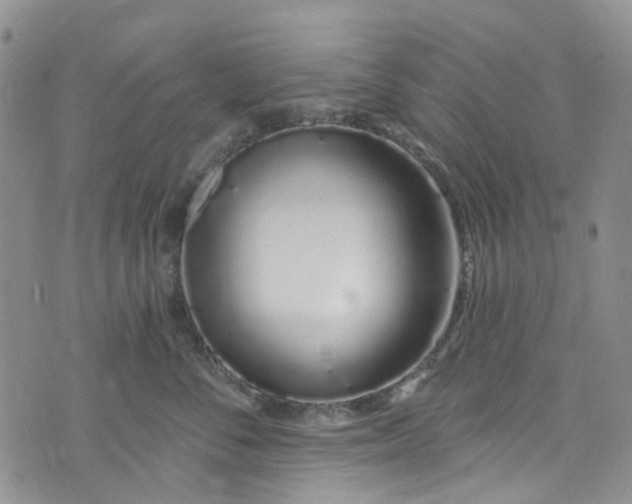 X0000072990716200608041308