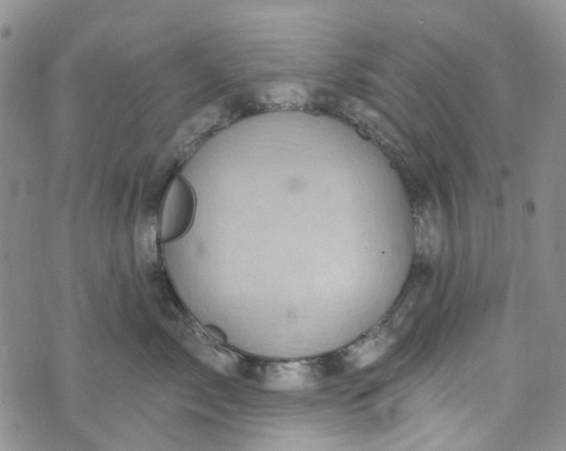 X0000072990717200608041308