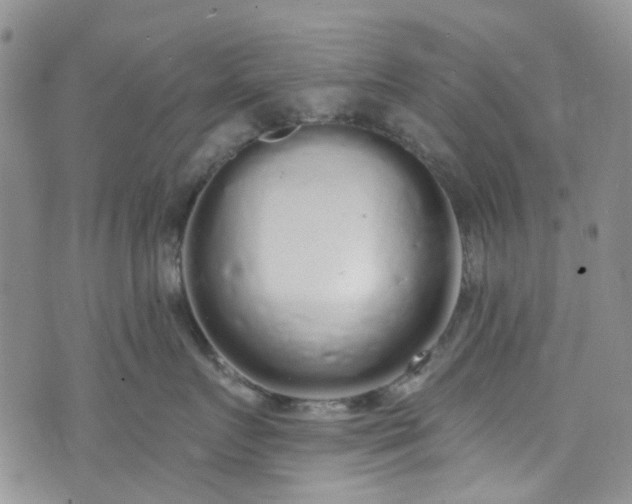 X0000072990719200608041308