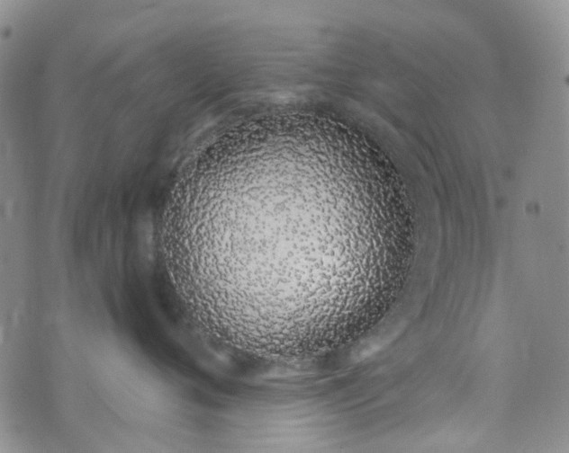 X0000072990720200608041308