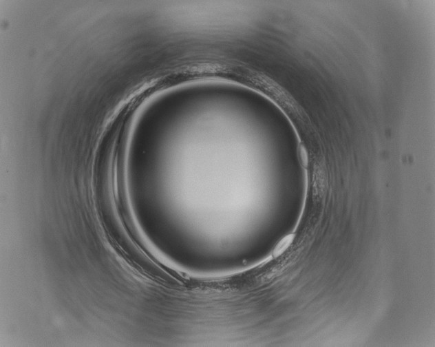 X0000072990722200608041307