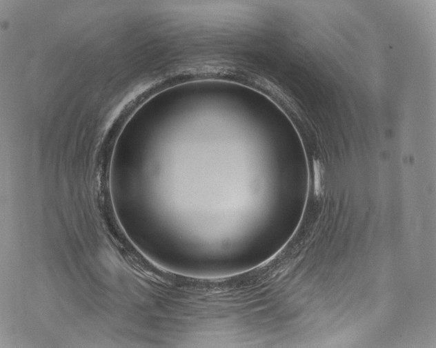 X0000072990723200608041307