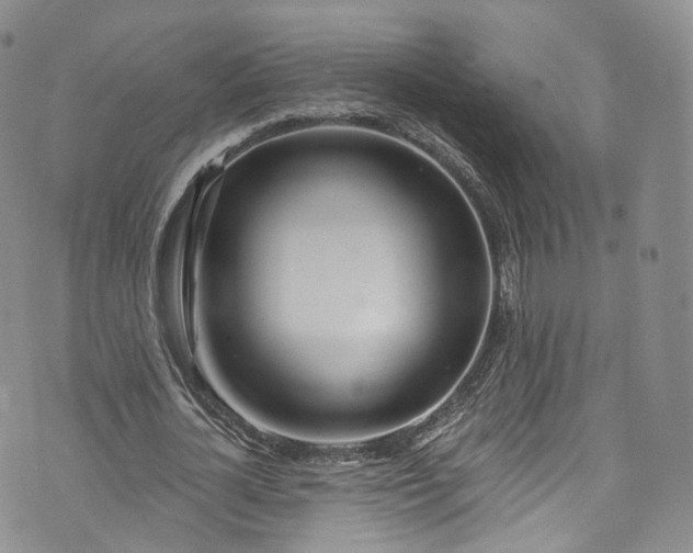 X0000072990724200608041307