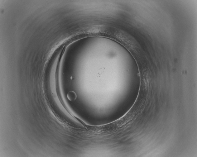 X0000072990728200608041307