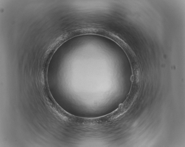 X0000072990729200608041307