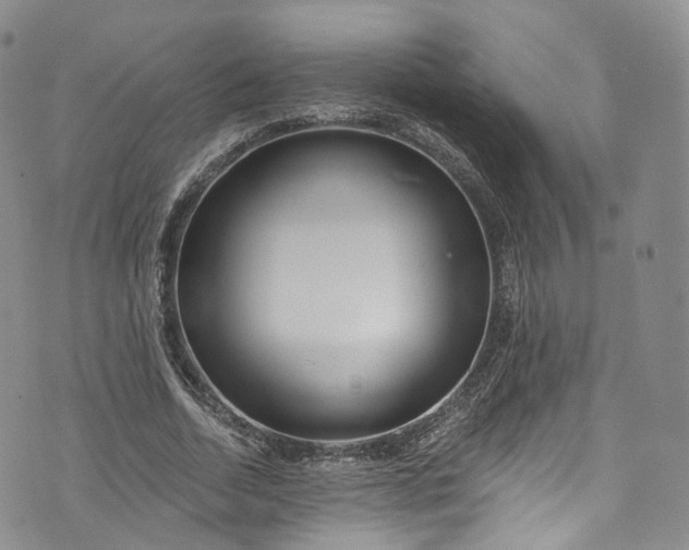 X0000072990730200608041307