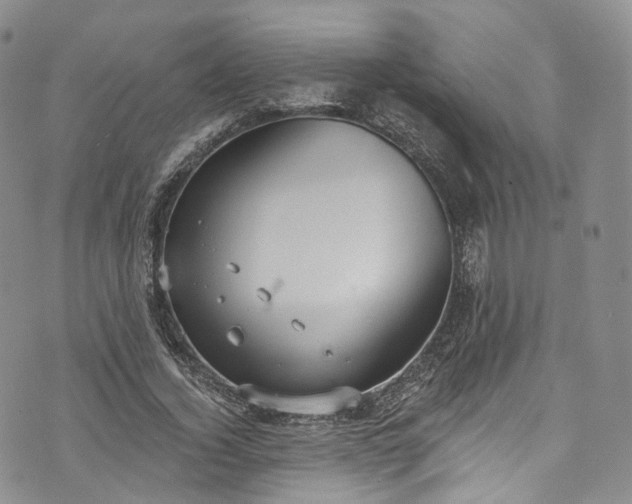 X0000072990732200608041307