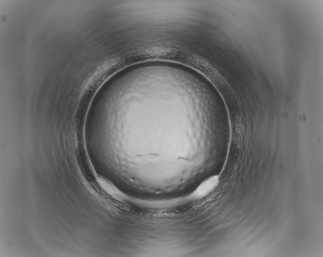 X0000072990734200608041307